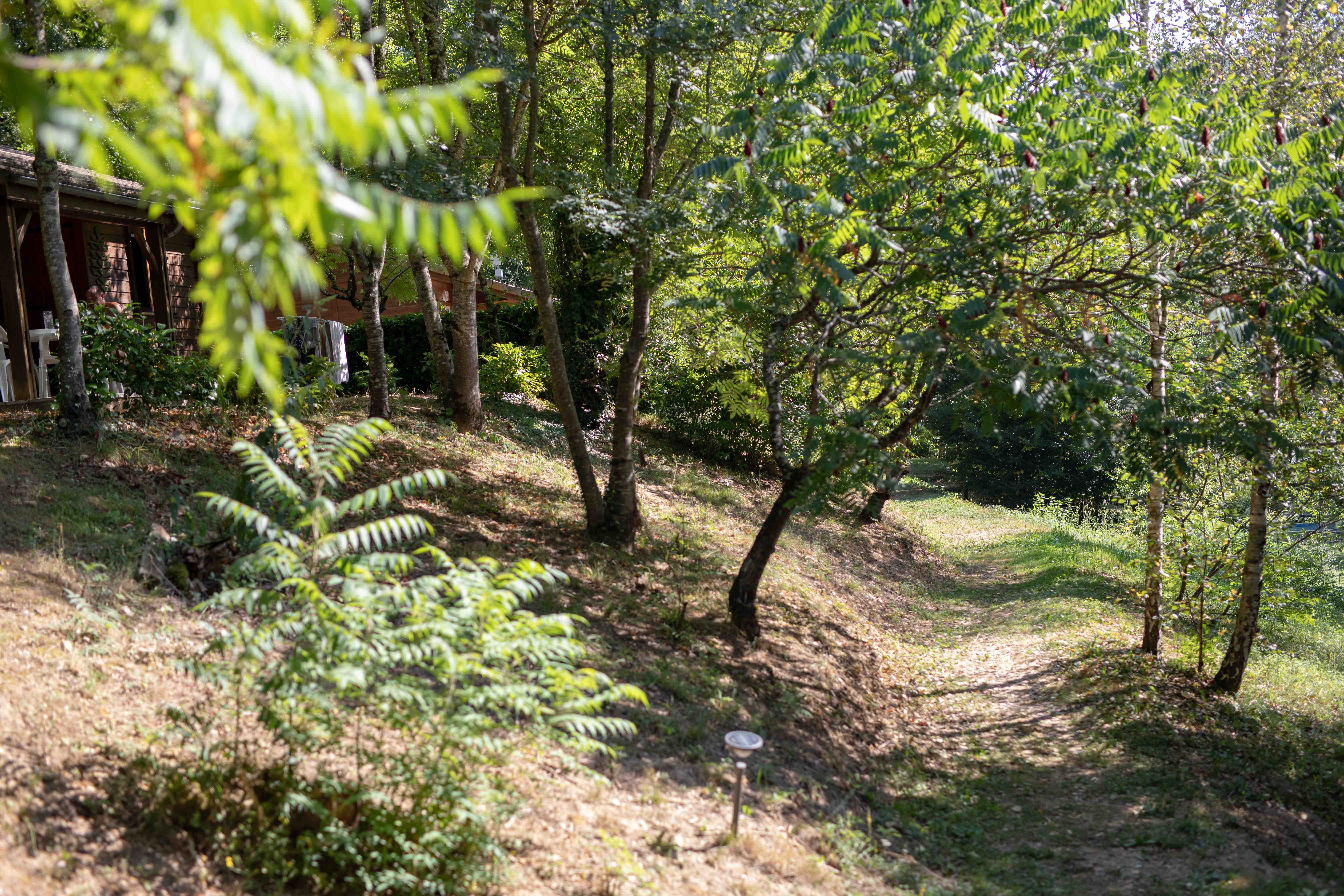 Les Chalets de la Gazonne