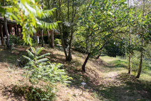 Les Chalets de la Gazonne