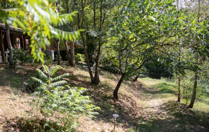 Les Chalets de la Gazonne