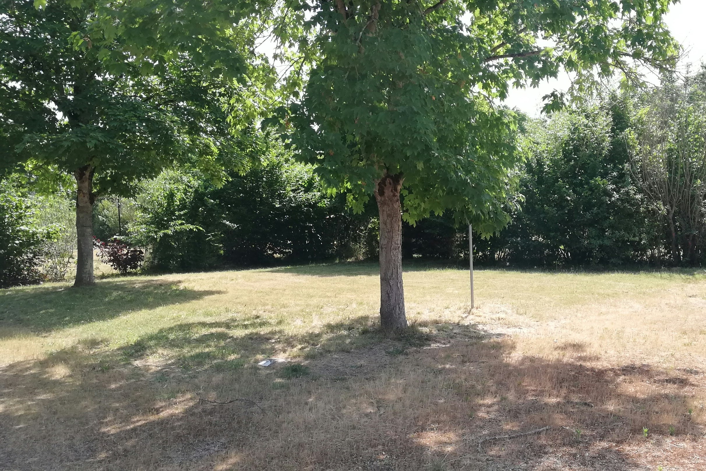Les Chalets de Moulière - Standplätze zwischen den Bäumen auf dem Campingplatz
