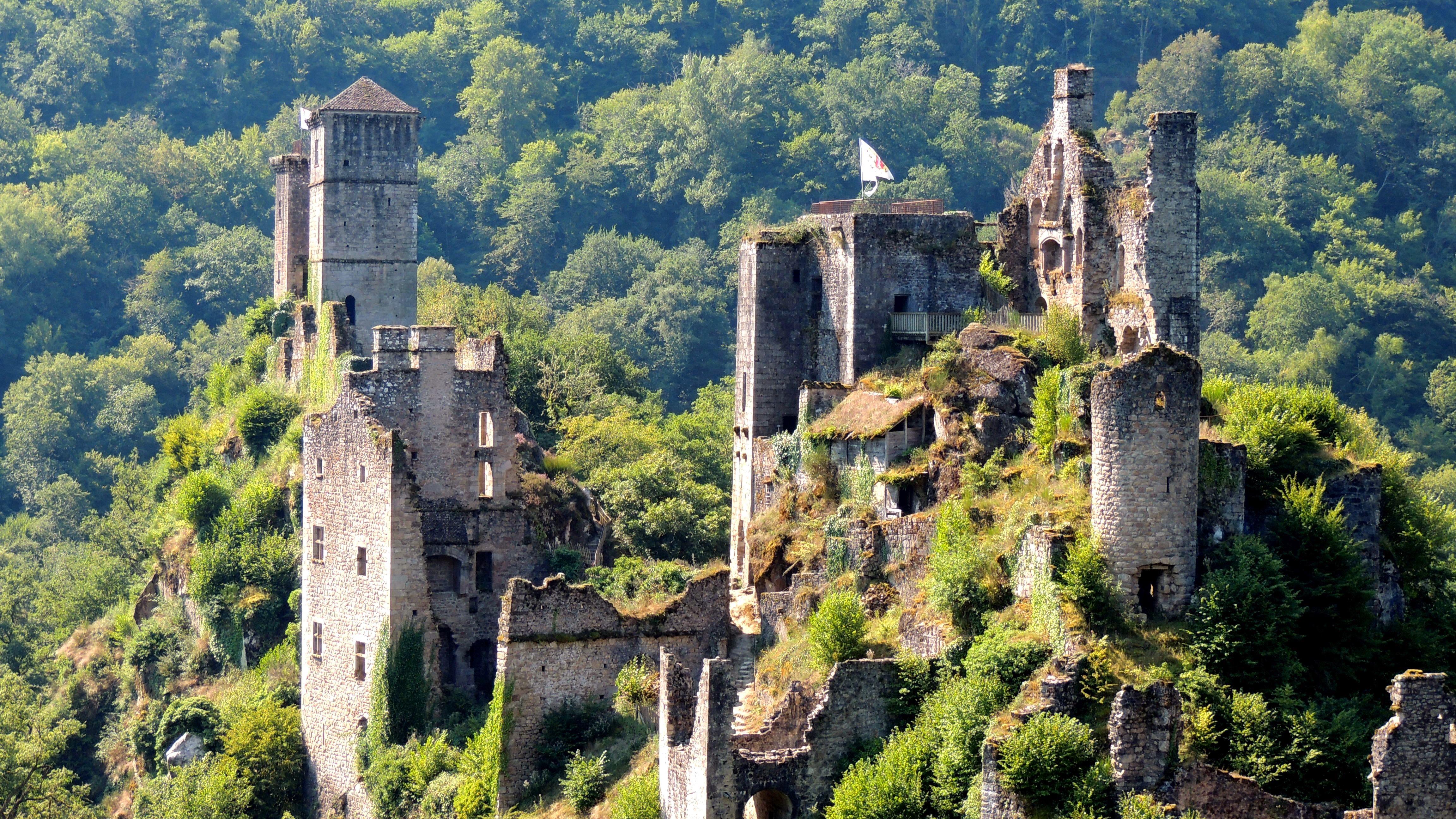 Burgruine mit hohen Türmen und Mauern, von dichtem Grün umgeben, im grünen Tal.