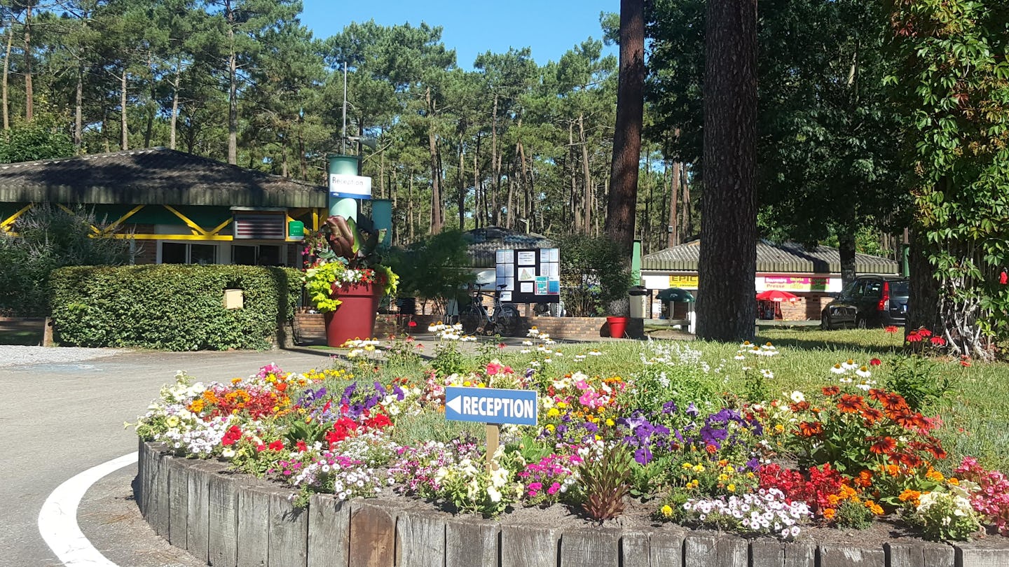 Les Dunes de Contis (Saint-Julien-en-Born)