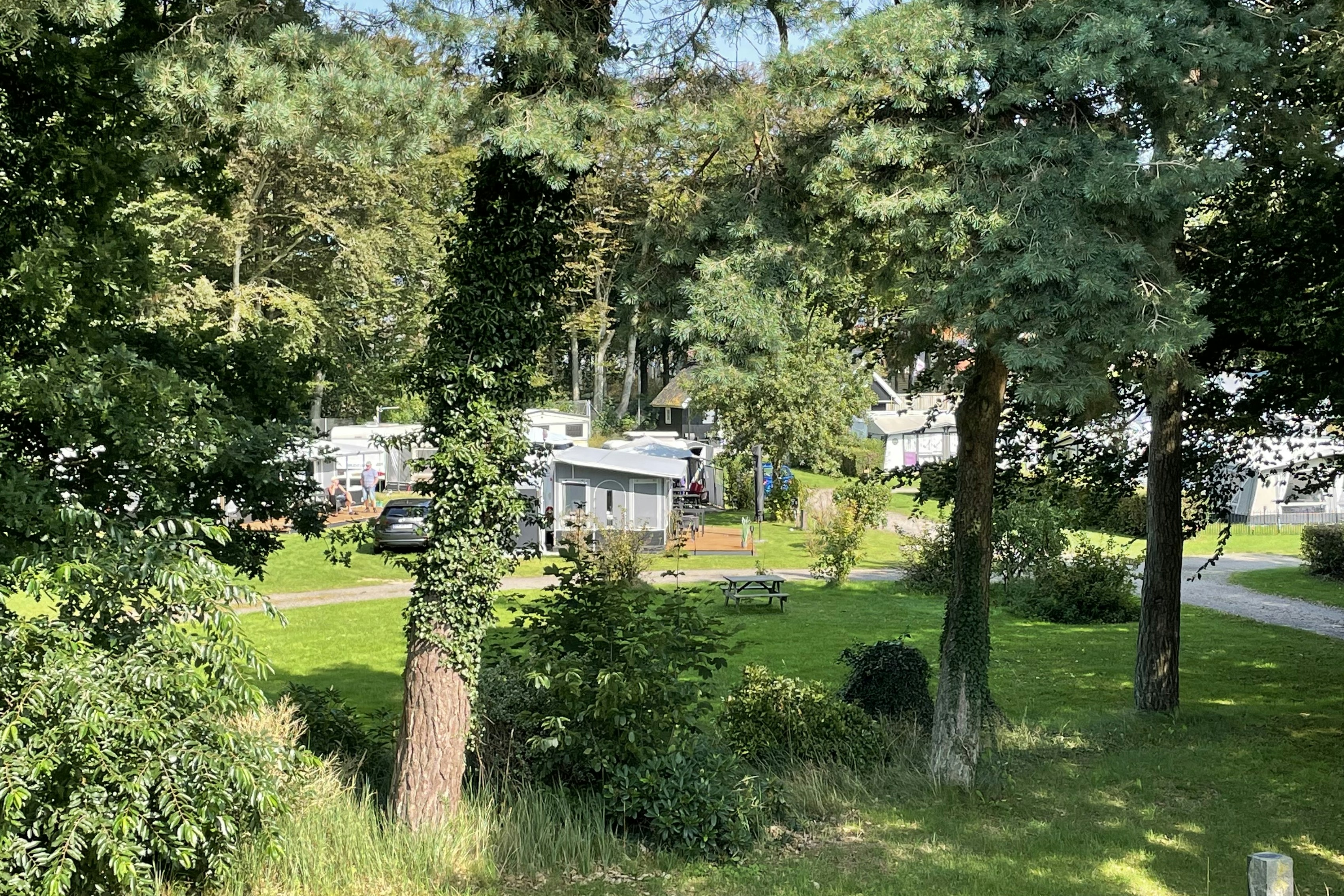 Løgstør Camping - Blick auf die Standplätze im Grünen