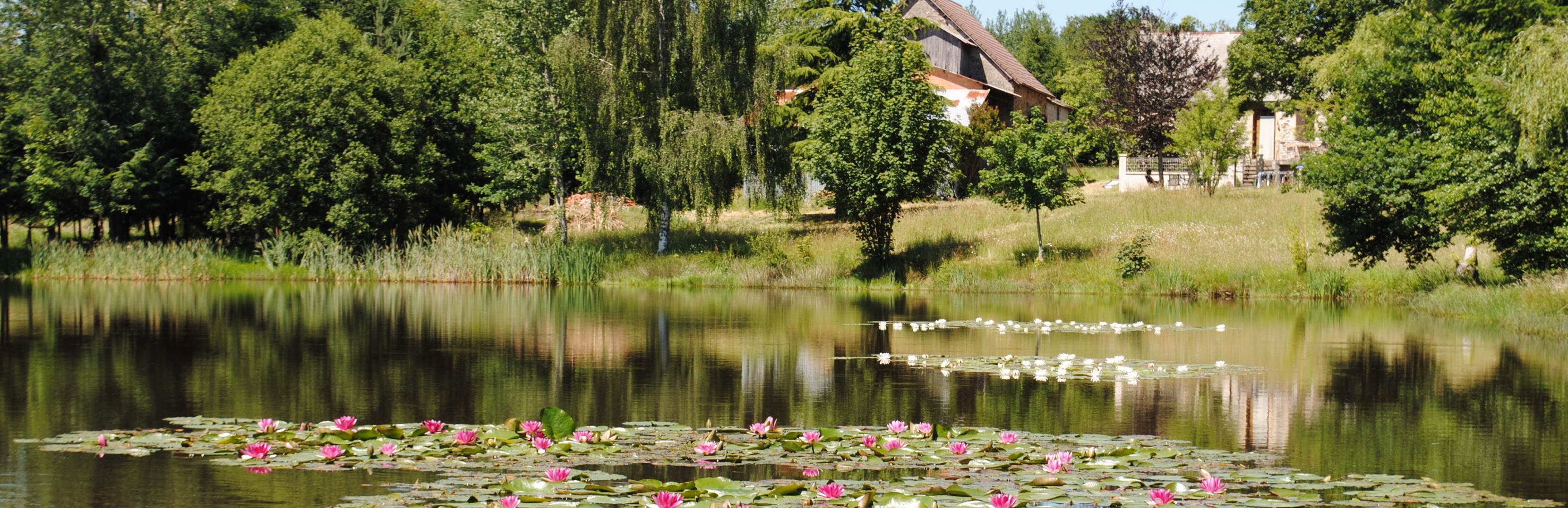Liabaquet gîtes et camping