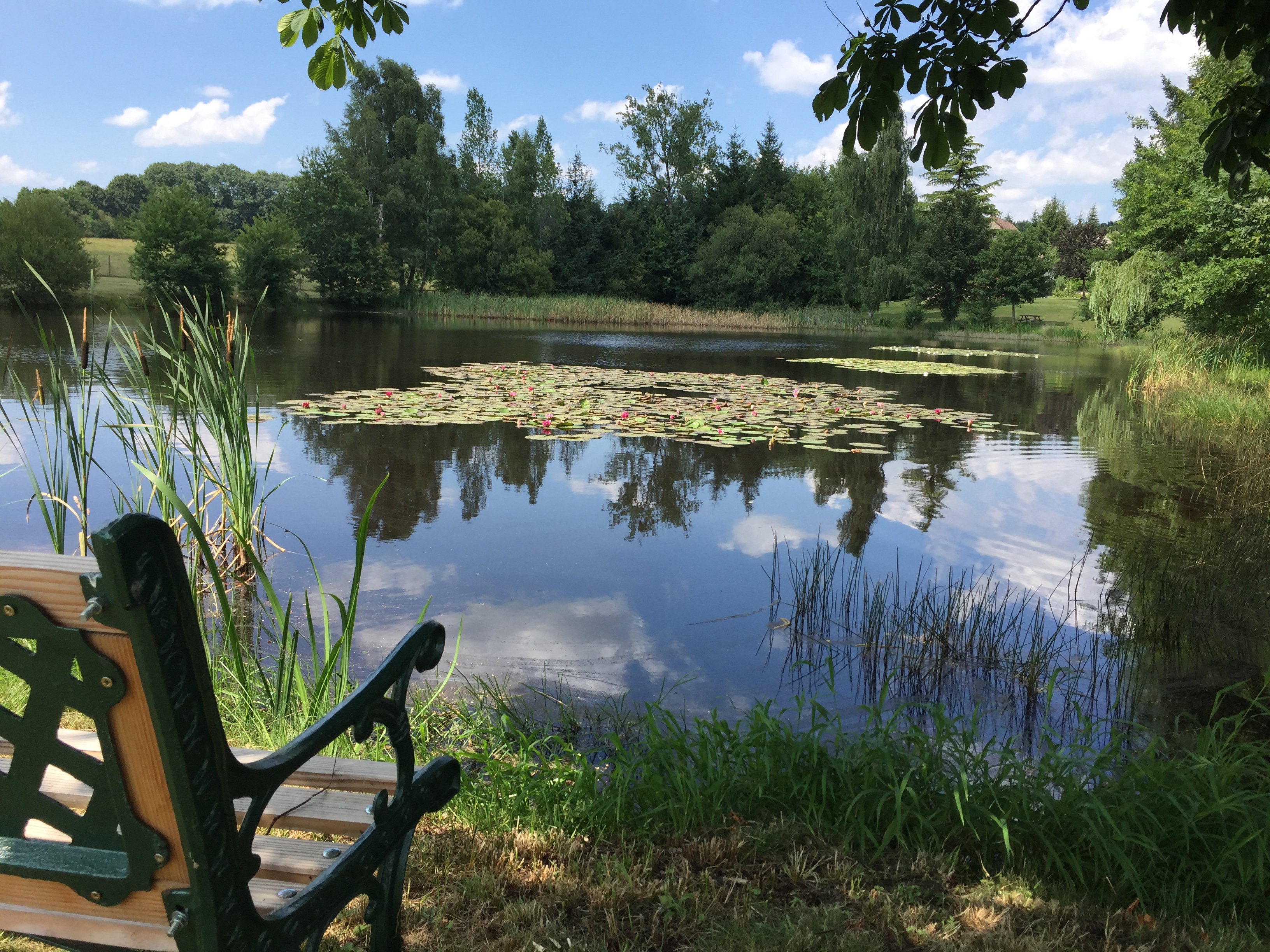 Liabaquet gîtes et camping