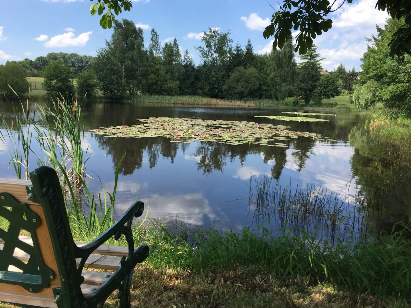 Liabaquet gîtes et camping