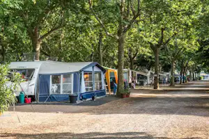 Lido Camping Village - Wohnwagen- und Zeltstellplatz unter Bäumen auf dem Campingplatz