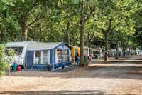 Lido Camping Village  -  Wohnwagen- und Zeltstellplatz unter Bäumen auf dem Campingplatz