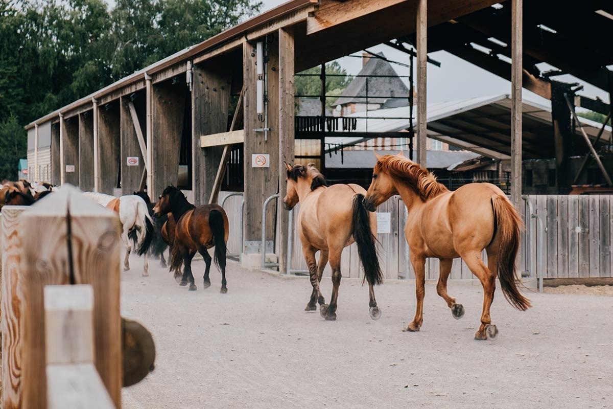 Le LieuDieu  Lieu Dieu - Pferdestall auf dem Campingplatz