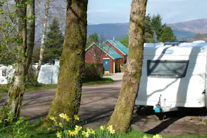 Wohnwagen am Campingplatz zwischen Bäumen, im Hintergrund Gebäude mit rotem Dach und grüner Tür.