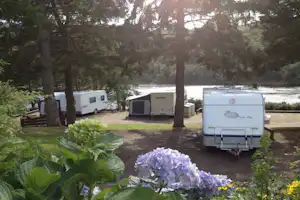 Wohnwagen auf einem Campingplatz am Fluss, umgeben von Bäumen und Blumenbeeten mit Hortensien im Vordergrund.