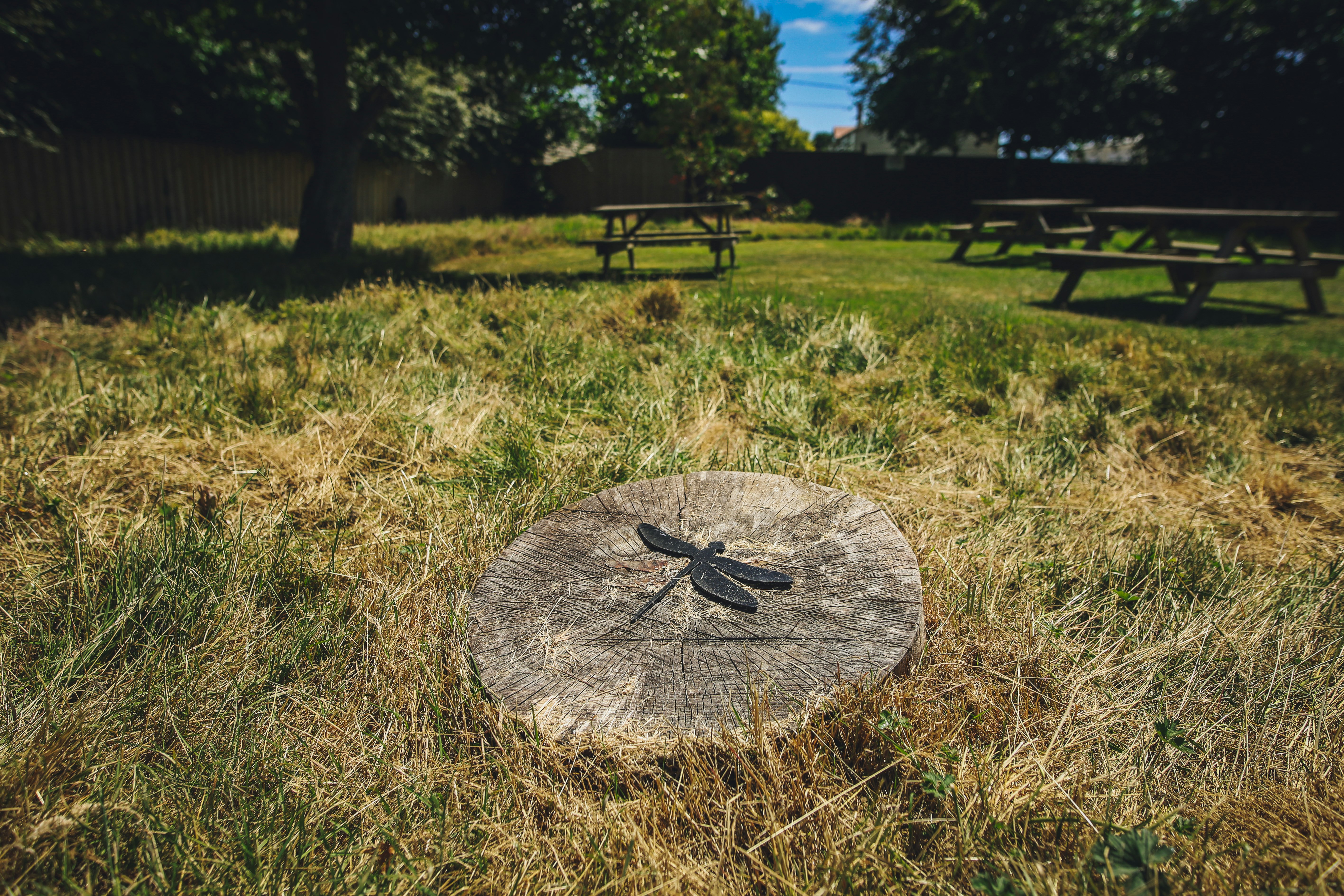 Little Satmar Holidaypark