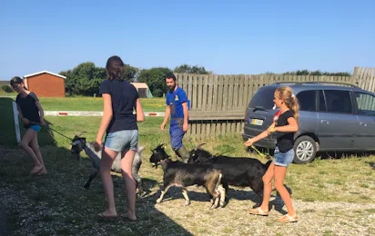 Løkken Maritime Naturcamping Vestkystcamping