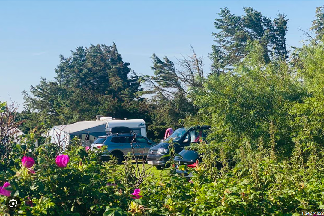 Løkken VestkystCamping - Standplätze im Grünen auf dem Campingplatz