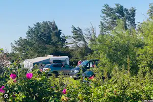 Løkken VestkystCamping - Standplätze im Grünen auf dem Campingplatz