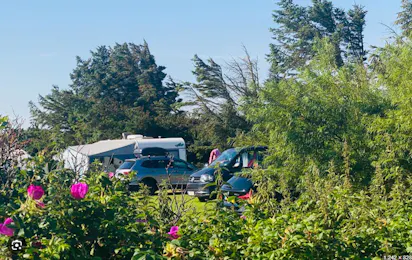 Løkken Maritime Naturcamping Vestkystcamping