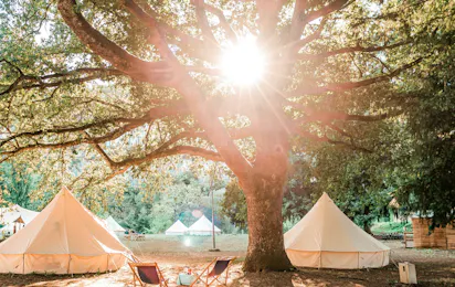 Lodg’ing Nature Camp Ardennes