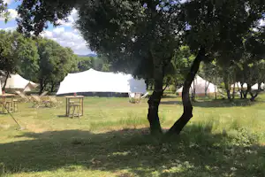 Zelte auf einem Campingplatz am See, umgeben von Bäumen und Rasen, mit Sitzgelegenheiten und Wegen im Hintergrund.