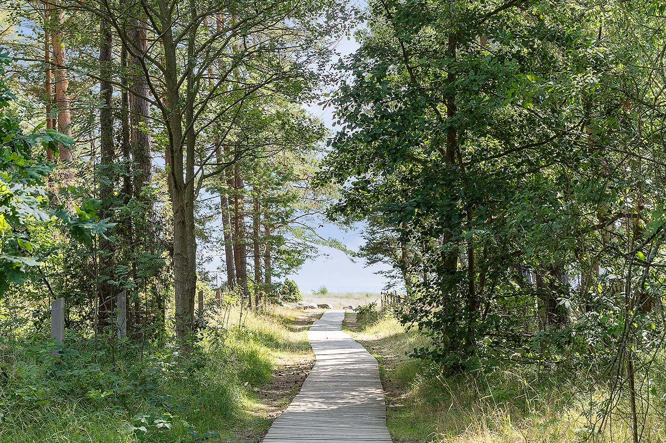First Camp Löttorp – Öland  Löttorps Camping - Spazierweg in der Nähe des Campingplatzes