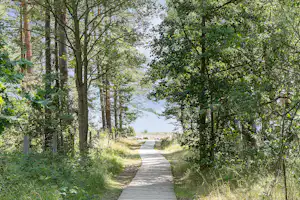 First Camp Löttorp – Öland Löttorps Camping - Spazierweg in der Nähe des Campingplatzes