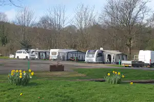 Lomond Woods Holiday Park - Standplätze auf dem Campingplatz