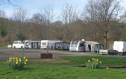 Lomond Woods Holiday Park