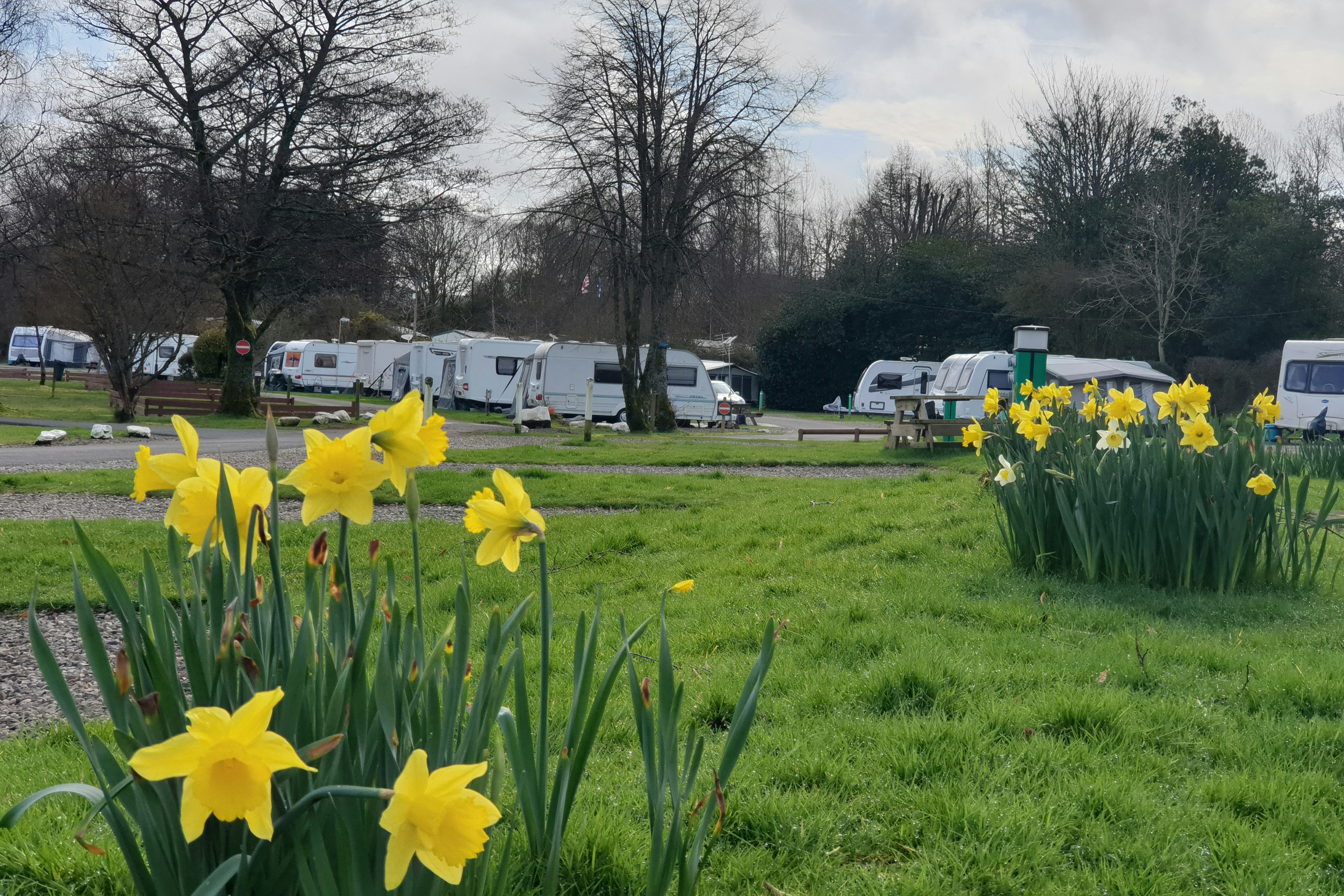 Lomond Woods Holiday Park - Standplätze auf dem Campingplatz