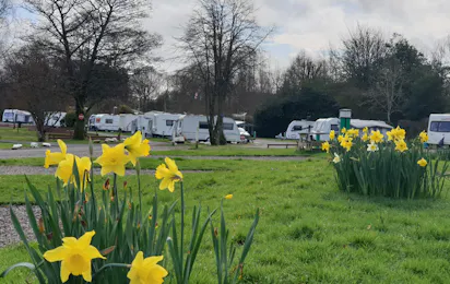 Lomond Woods Holiday Park