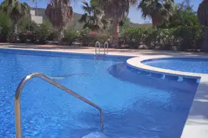 Blaues Schwimmbecken mit Edelstahlleiter und rundem Beckenrand, umgeben von Palmen und gepflegten Hecken am Campingplatz.