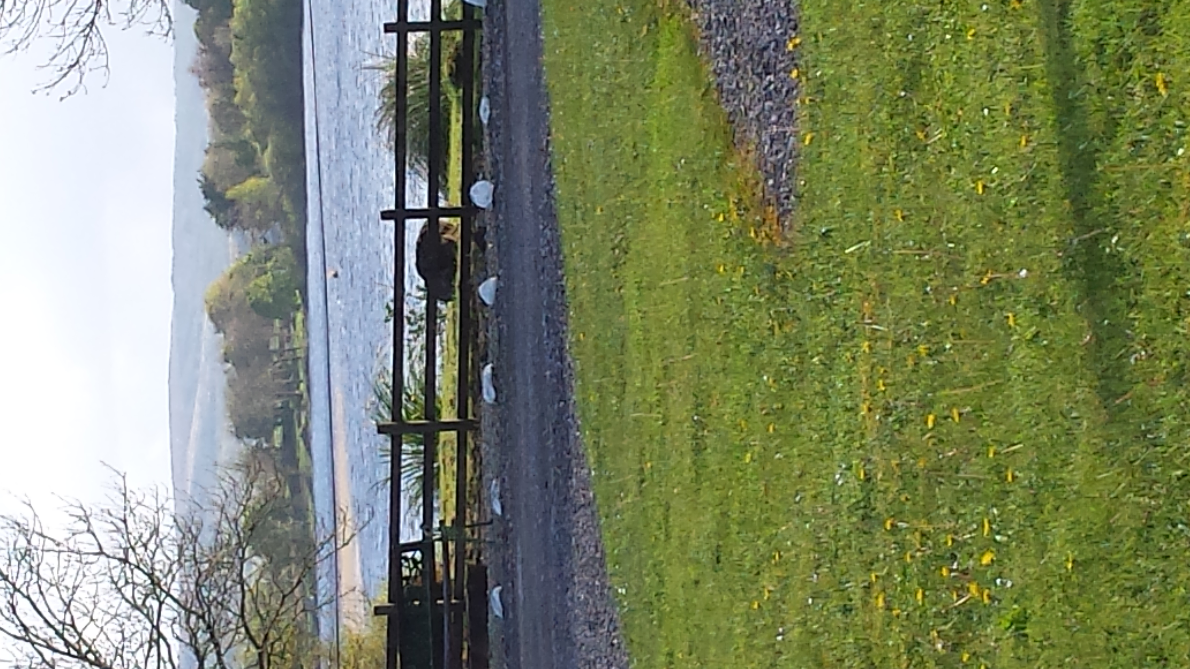 Lough Arrow Touring Park