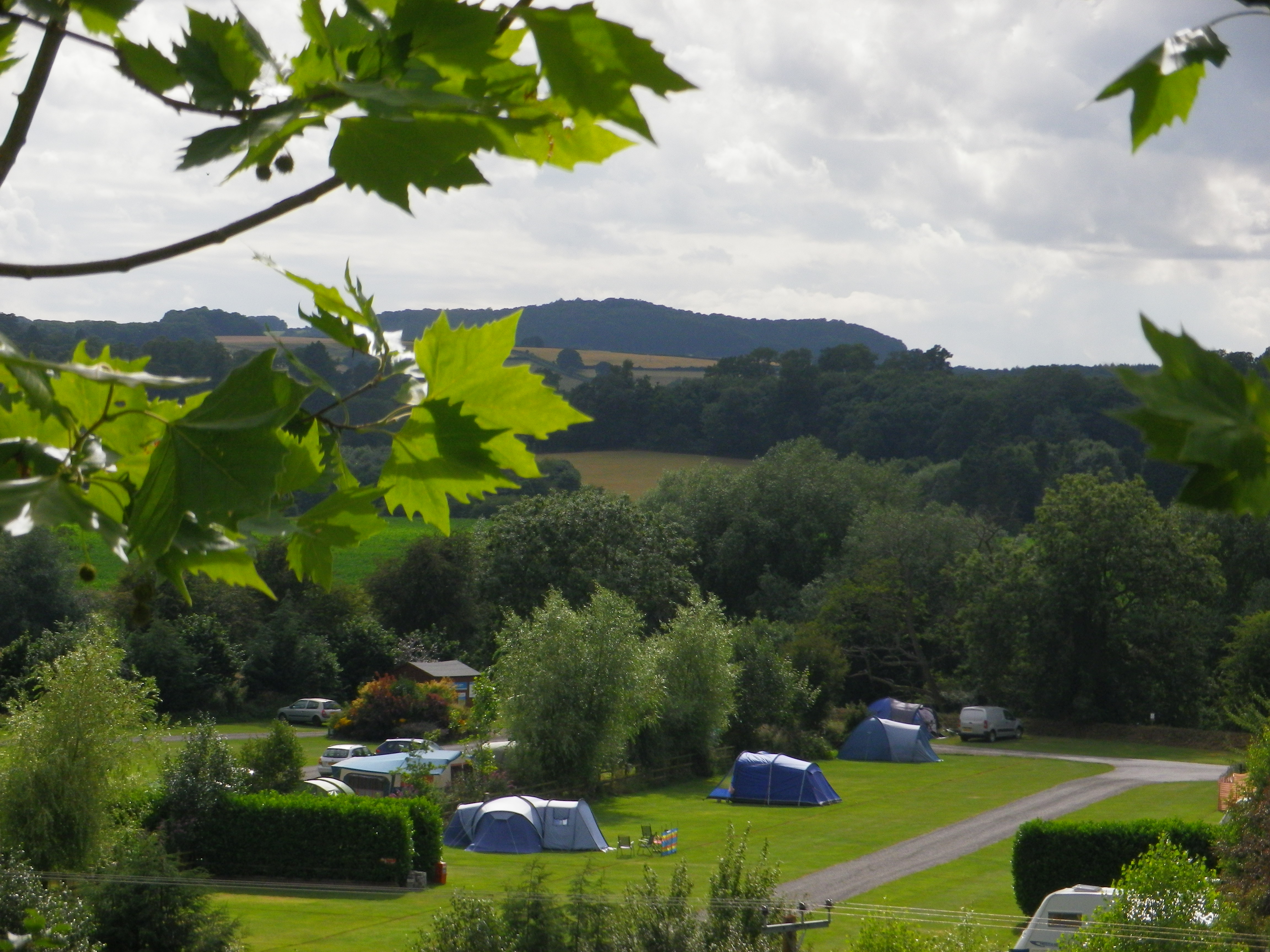 Lucksall Caravan and Camping Park