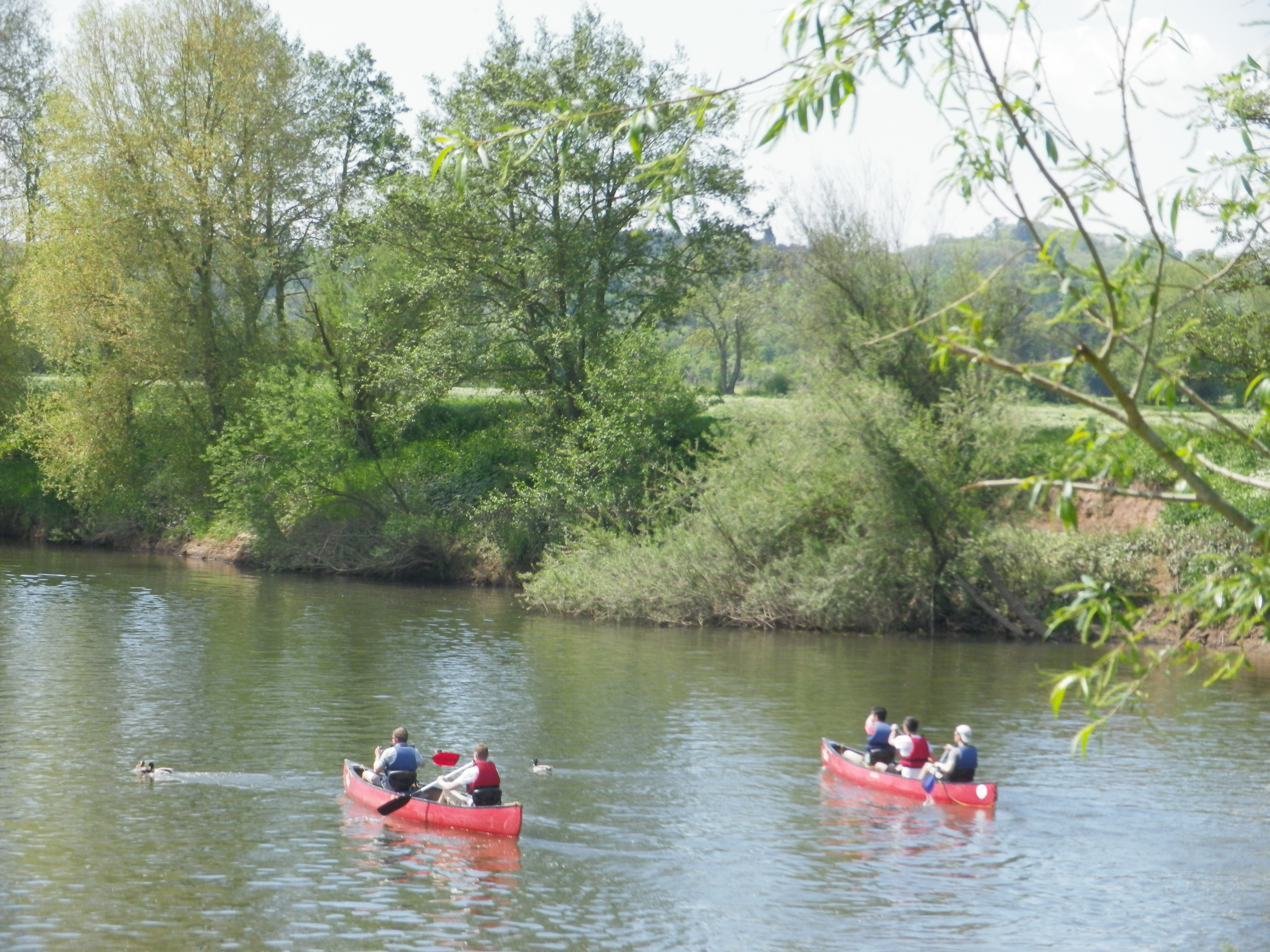 Lucksall Caravan and Camping Park