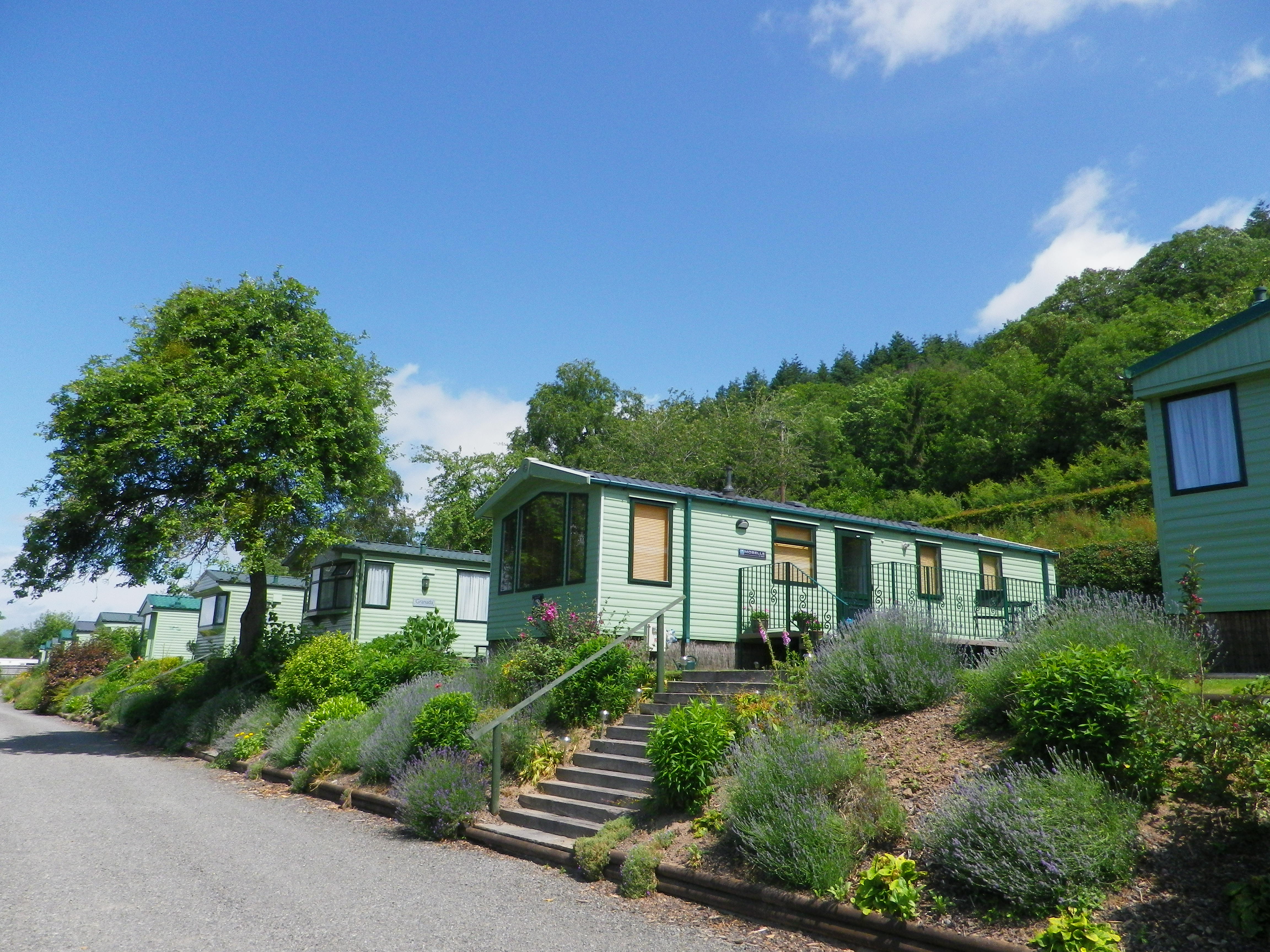 Lucksall Caravan and Camping Park