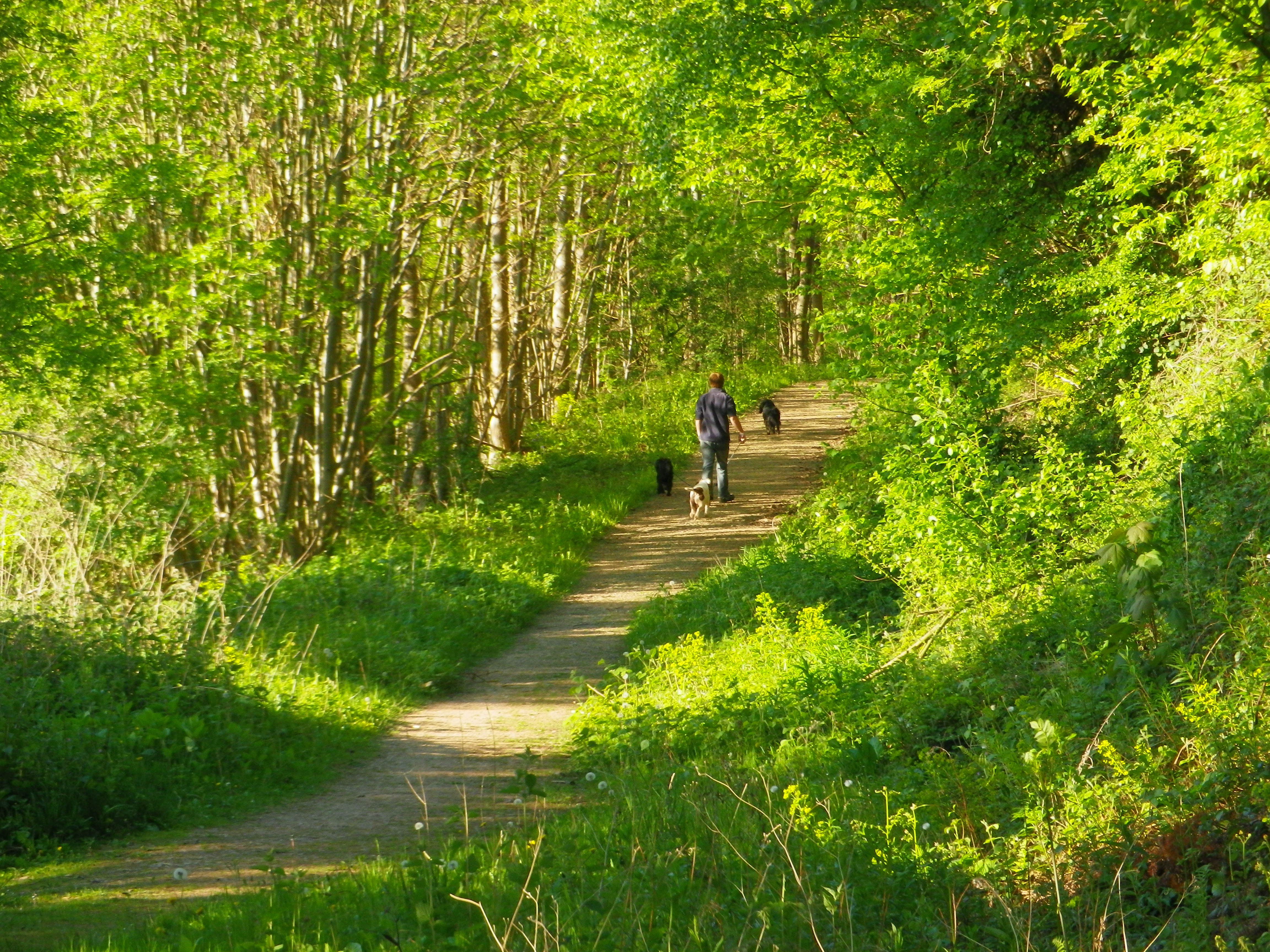 Lucksall Caravan and Camping Park