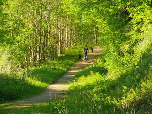 Lucksall Caravan and Camping Park