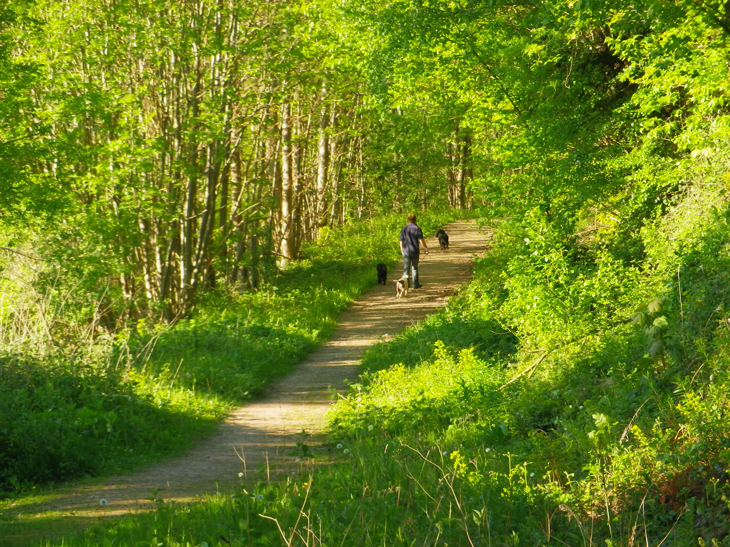 Lucksall Caravan and Camping Park