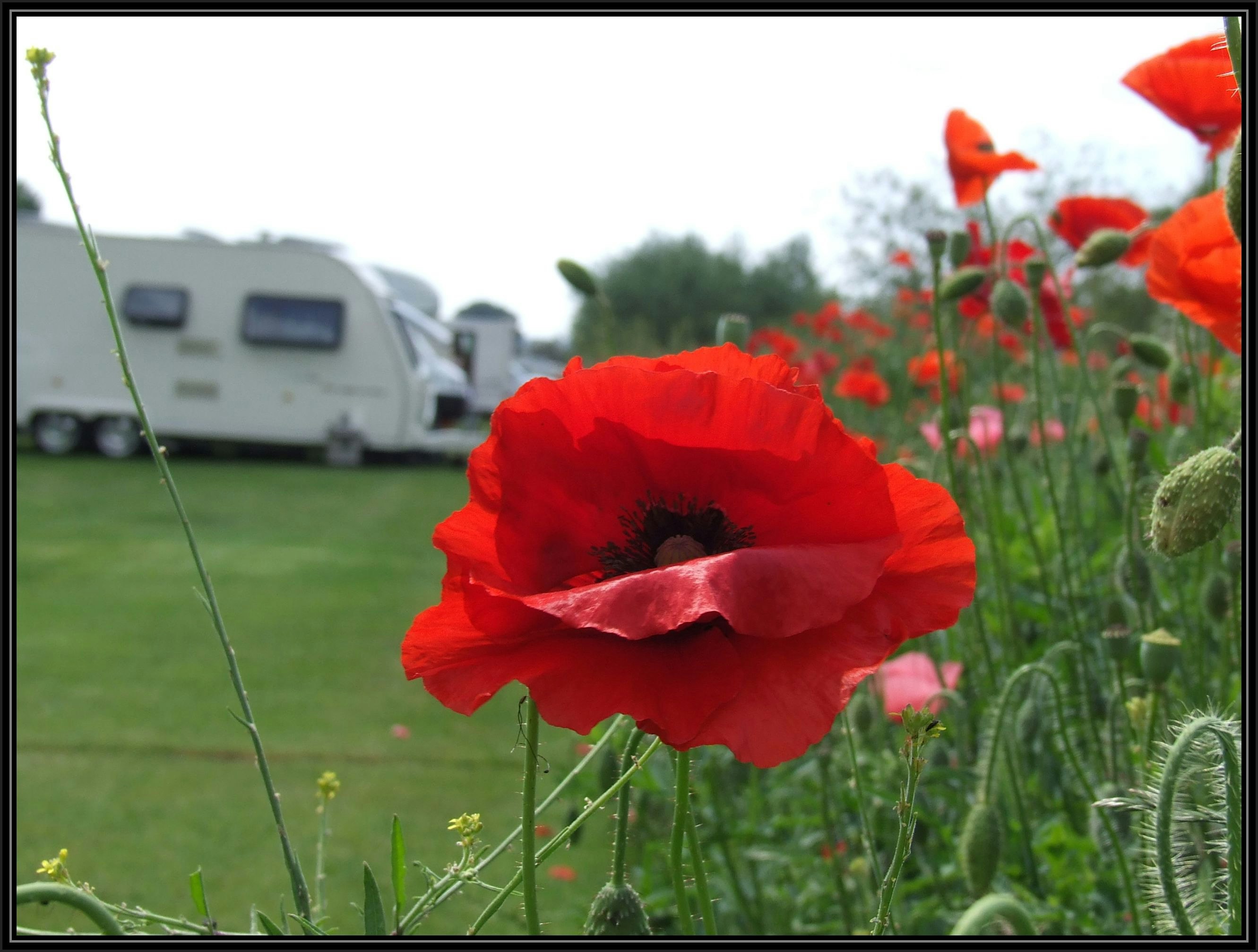 Lucksall Caravan and Camping Park