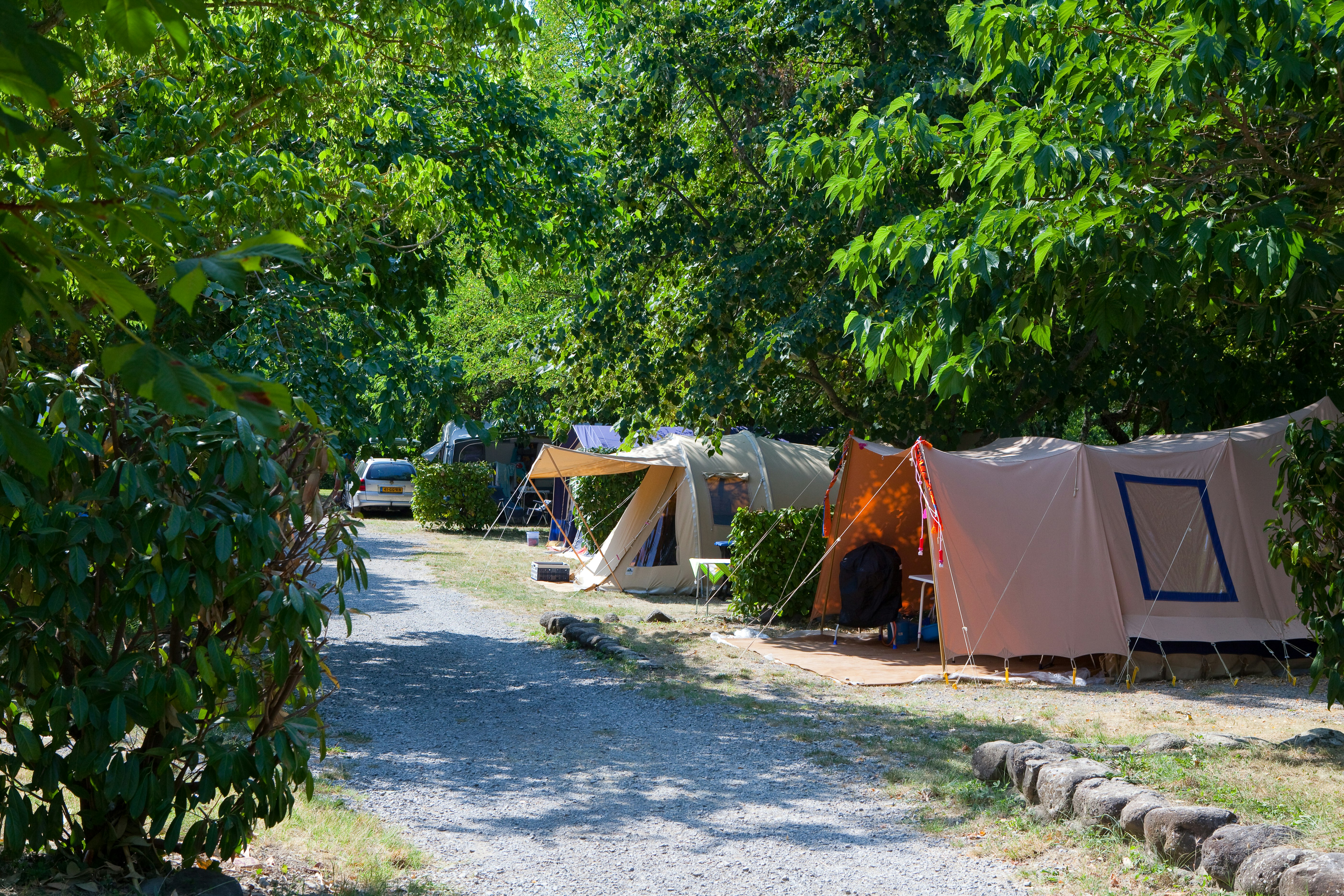 Ludo Camping  -  Wohnwagen- und Zeltstellplatz unter Bäumen auf dem Campingplatz
