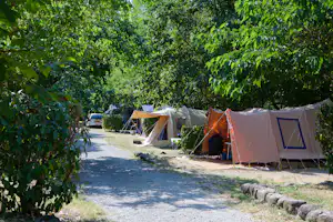 Ludo Camping - Wohnwagen- und Zeltstellplatz unter Bäumen auf dem Campingplatz