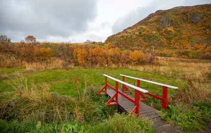 Lyngvær Lofoten Bobilcamping