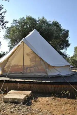 Zelt auf einer Holzplattform mit weißen Seitenplanen, umgeben von Bäumen und einem kleinen Weg im Campingbereich.