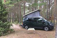 Mändjala Camping  -  Wohnwagen- und Zeltstellplatz vom Campingplatz zwischen Bäumen