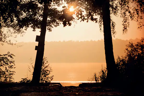 Seecamp Waldreich
