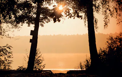 Seecamp Waldreich