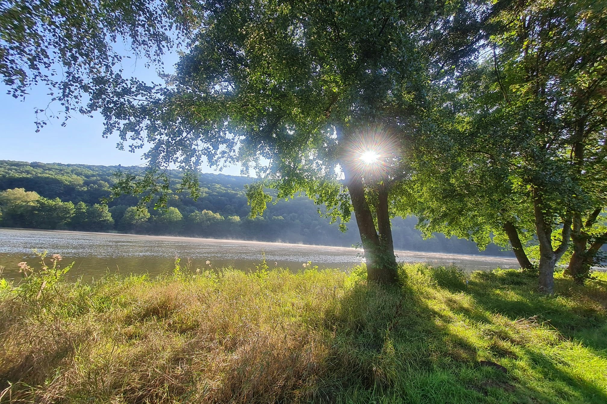 Main Glueck Camping - Blick auf den Campingplatz am Wasser