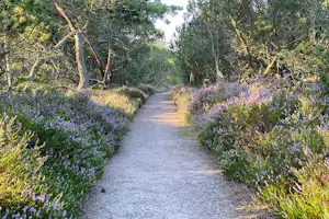 Mellbystrands Camping Marias Camping - Spazierwege im Naturschutzgebiet