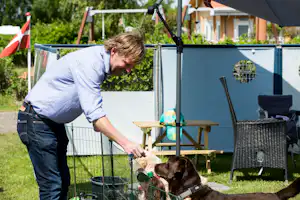 Marielyst Ny Camping - Hunde auf dem Wohnwagen- und Zeltstellplatz vom Campingplatz