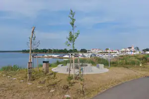 Uferpromenade am See mit Kiesweg, jungen Bäumen und Stegen, im Hintergrund Boote und Campinghäuser.