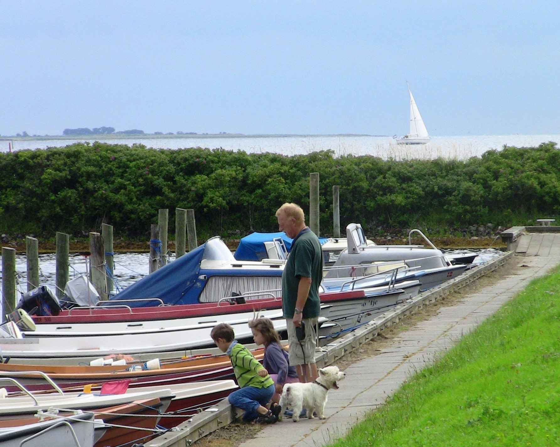 Kragenæs Marina Lystcamp