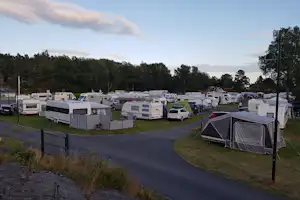 Campingplatz mit vielen Wohnmobilen und Wohnwagen, Zelt im Vordergrund, gepflasterter Weg und Bäume am Rand.